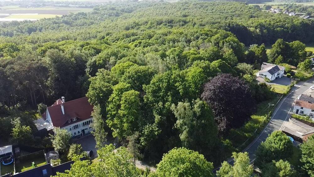 Terrain à vendre à Braine-le-Comte 7090 145000.00€ chambres m² - annonce 12563