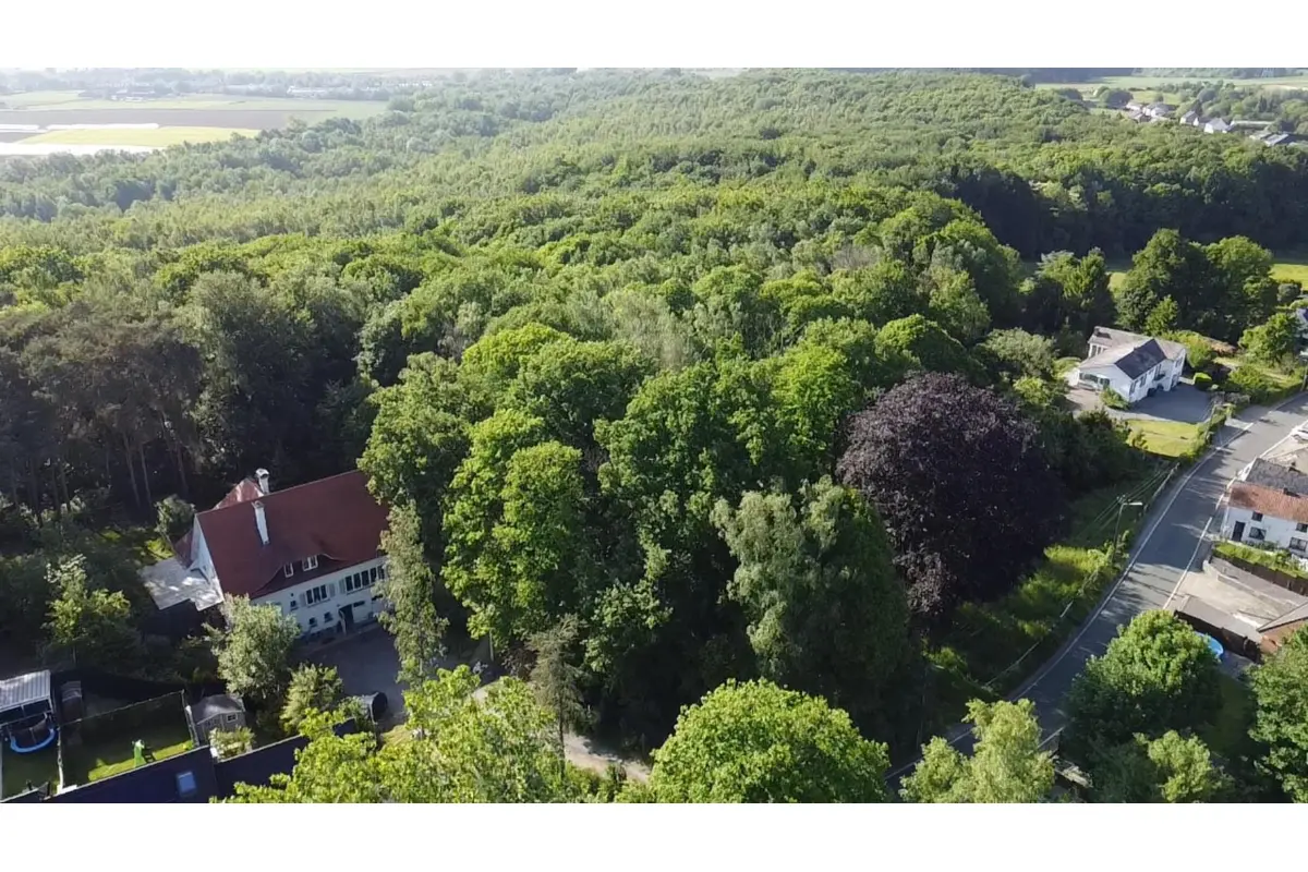 Terrain à vendre à Braine-le-Comte 7090 145000.00€  chambres m² - annonce 12563