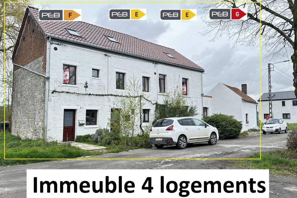Immeuble mixte à vendre à Leers-et-Fosteau 6530 320000.00€ 7 chambres 350.00m² - annonce 985167