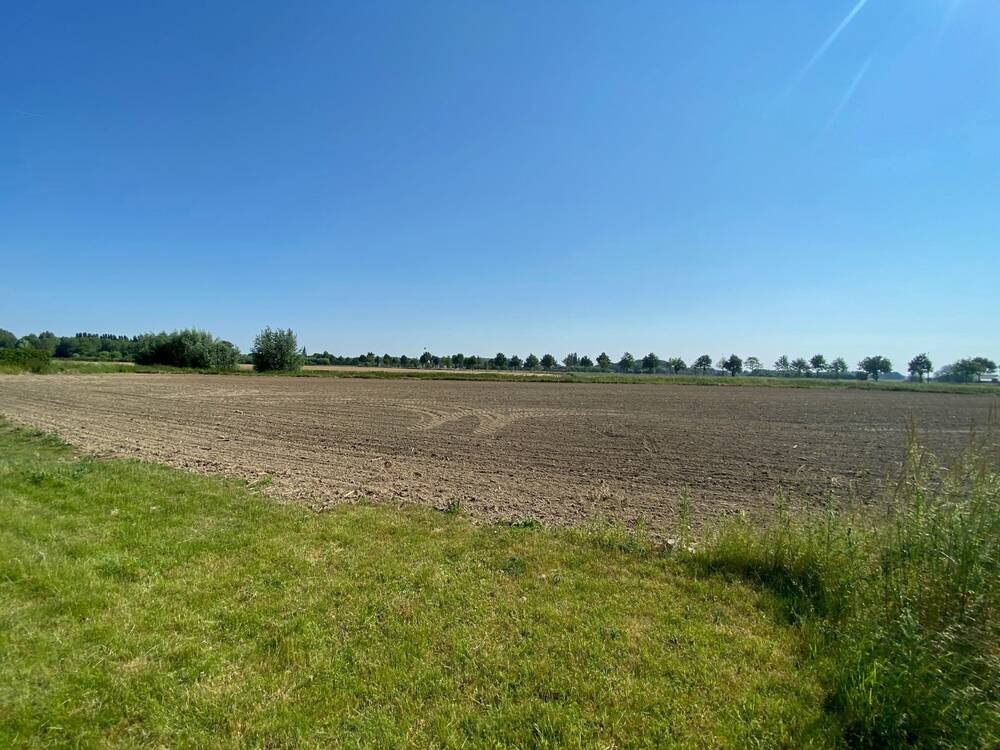 Terrain à vendre à Dottignies 7711 280000.00€ chambres m² - annonce 13712