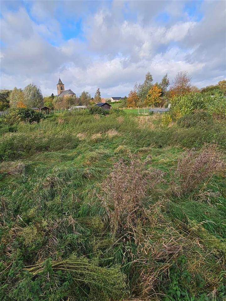 Terrain à vendre à Masnuy-Saint-Jean 7050 80000.00€ chambres m² - annonce 21289