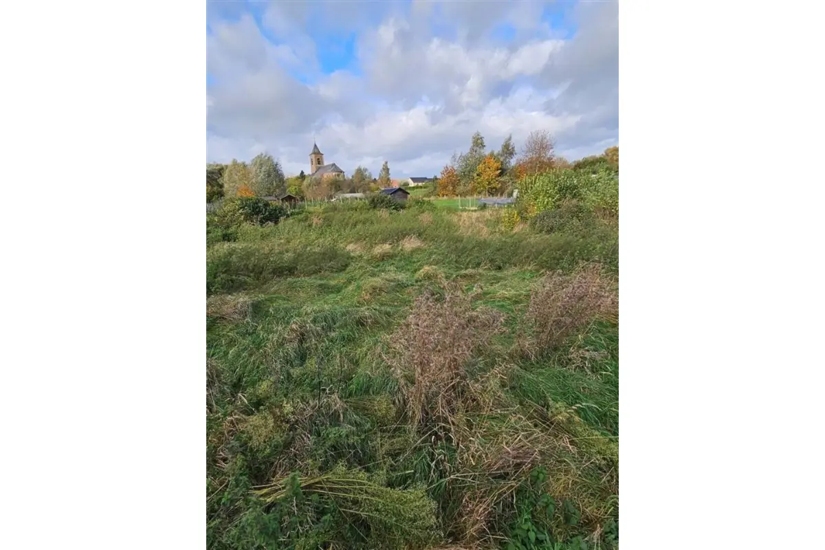 Terrain à vendre à Masnuy-Saint-Jean 7050 80000.00€  chambres m² - annonce 21289