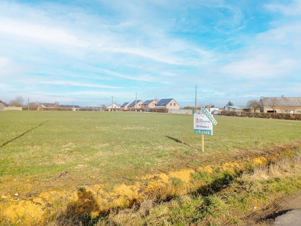 Terrain à vendre à Seloignes 6596 37000.00€ chambres m² - annonce 54764