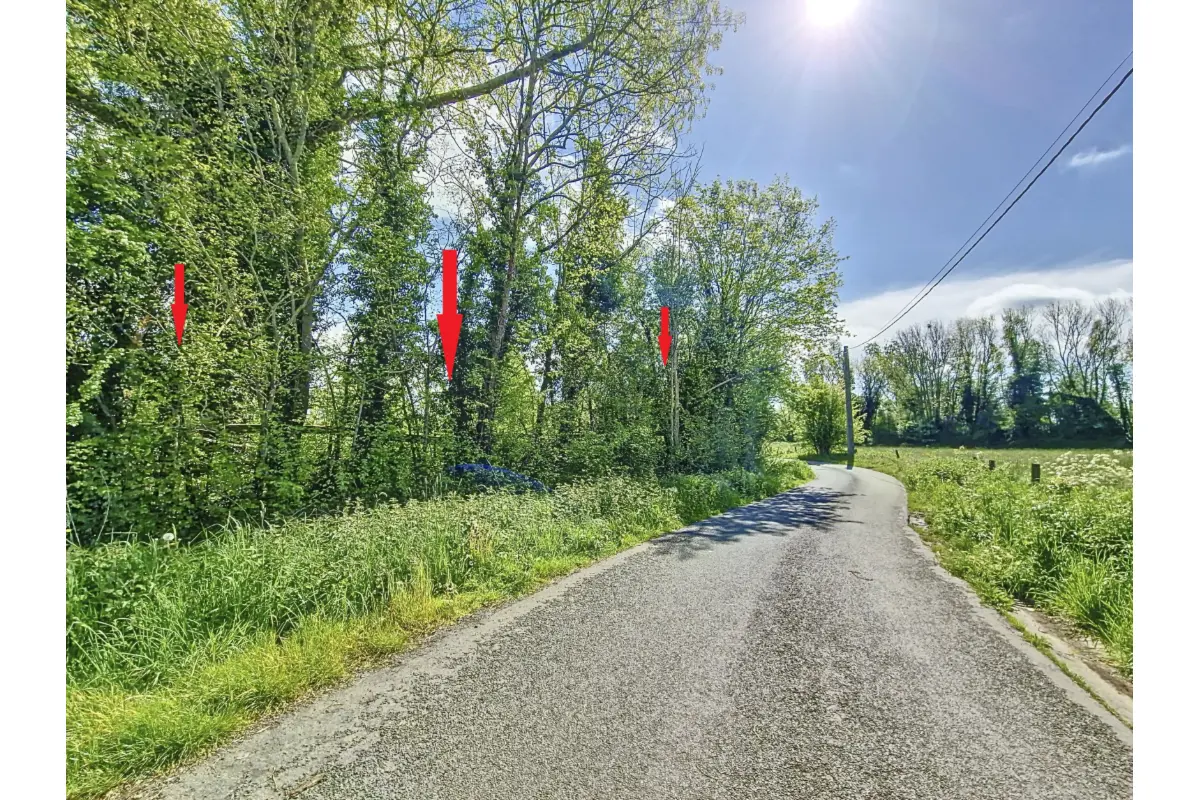 Terrain à vendre à Hellebecq 7830 350000.00€  chambres m² - annonce 61323