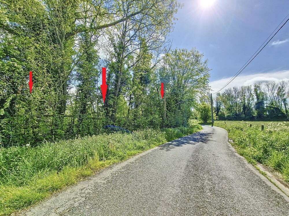 Terrain à vendre à Hellebecq 7830 350000.00€  chambres m² - annonce 61323