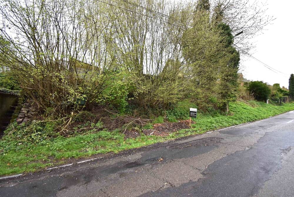 Terrain à vendre à Blaregnies 7040 40000.00€ chambres m² - annonce 69054