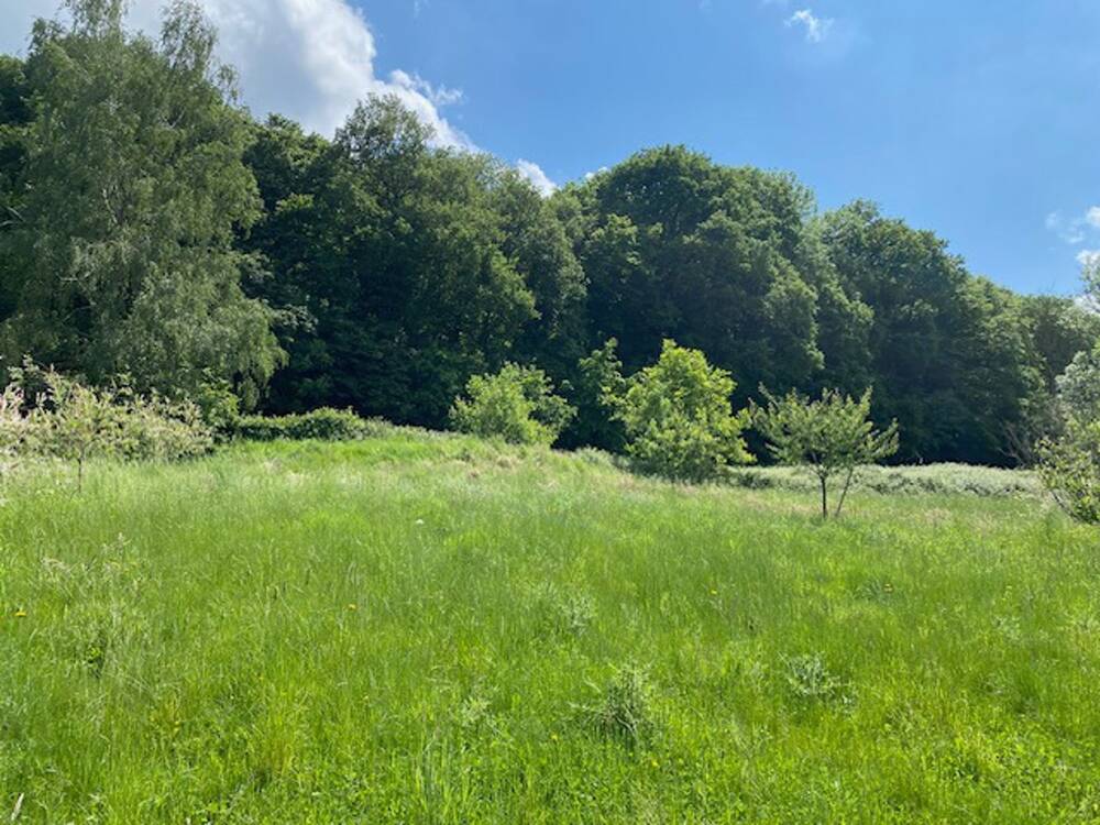 Terrain à vendre à Aiseau 6250 89000.00€ chambres m² - annonce 74926