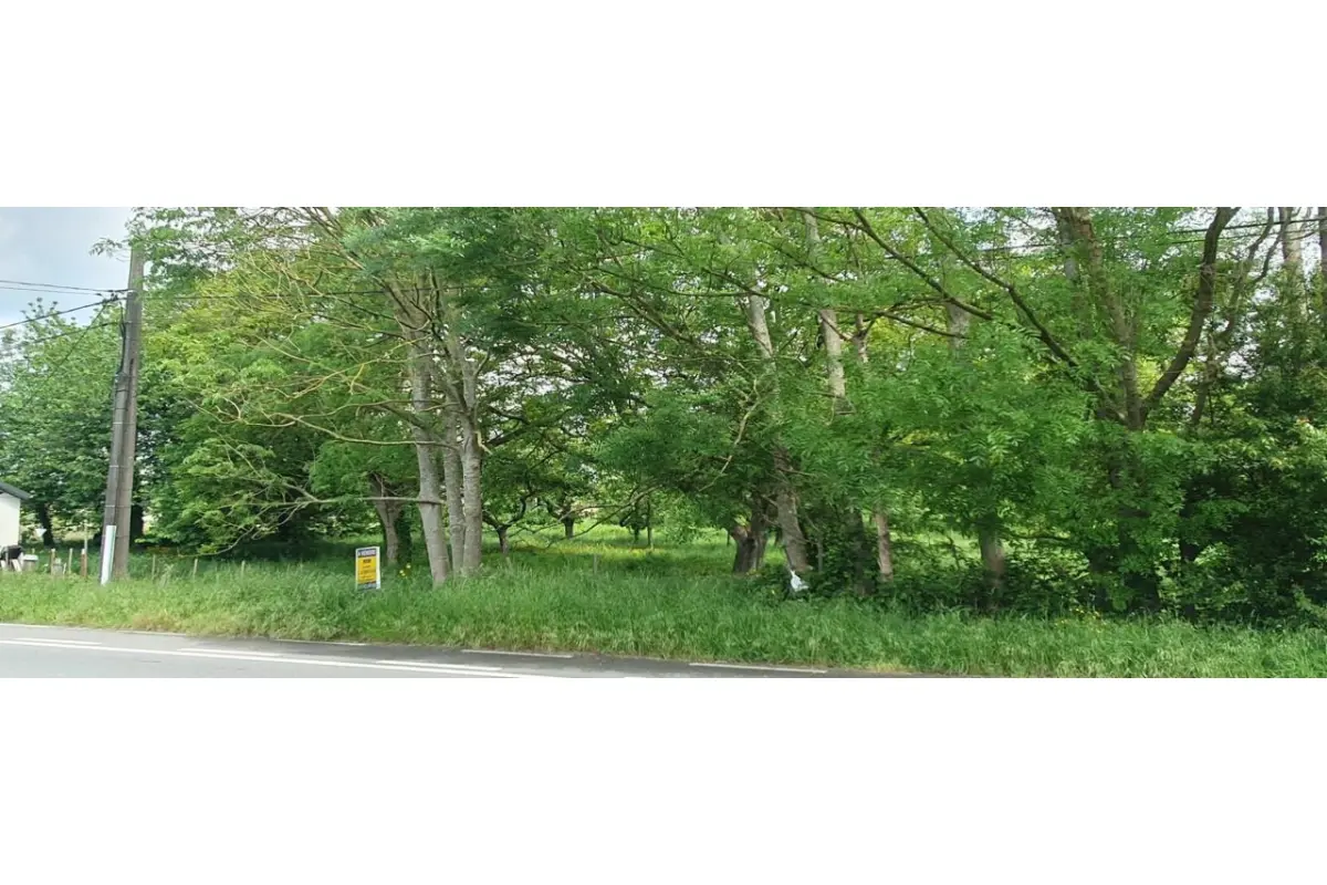 Terrain à vendre à Hautrage 7334 120000.00€  chambres m² - annonce 75402