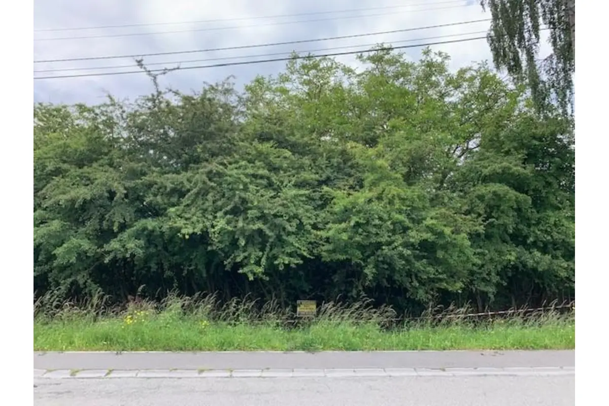 Terrain à vendre à Bois-d'Haine 7170 100000.00€  chambres m² - annonce 118333