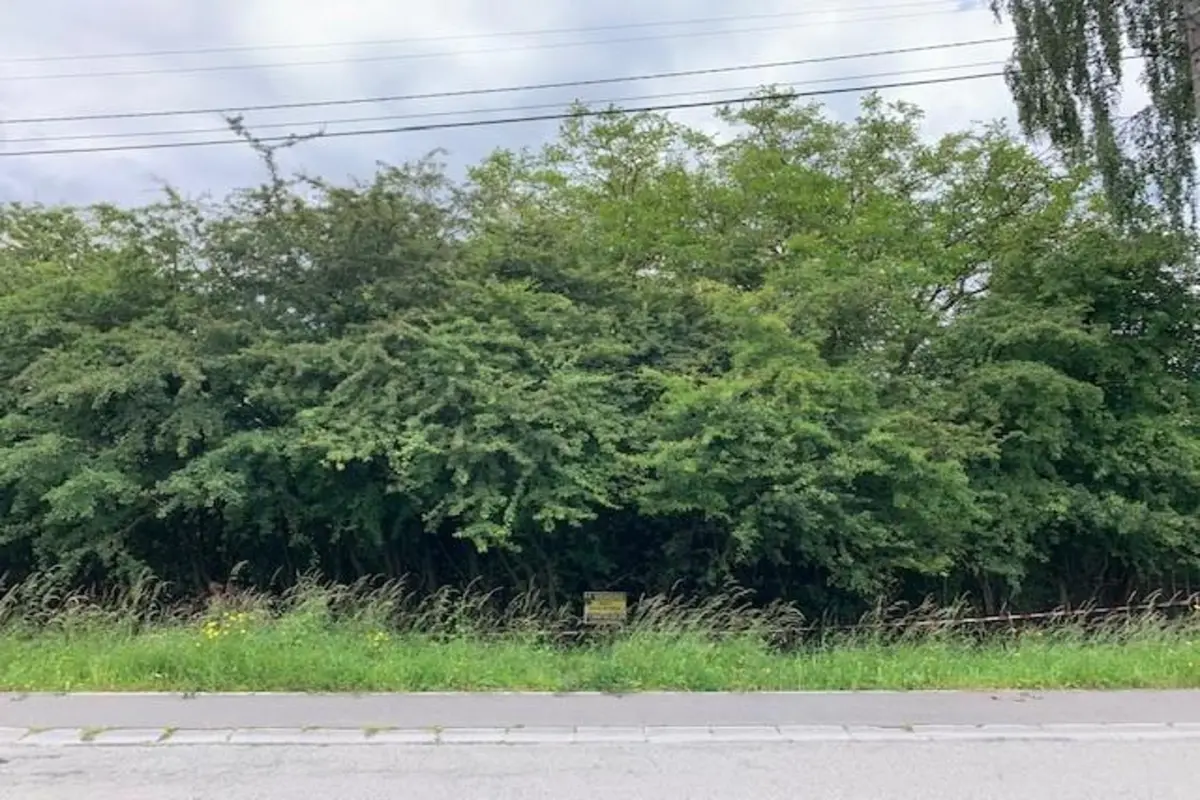 Terrain à vendre à Bois-d'Haine 7170 100000.00€ chambres m² - annonce 118333