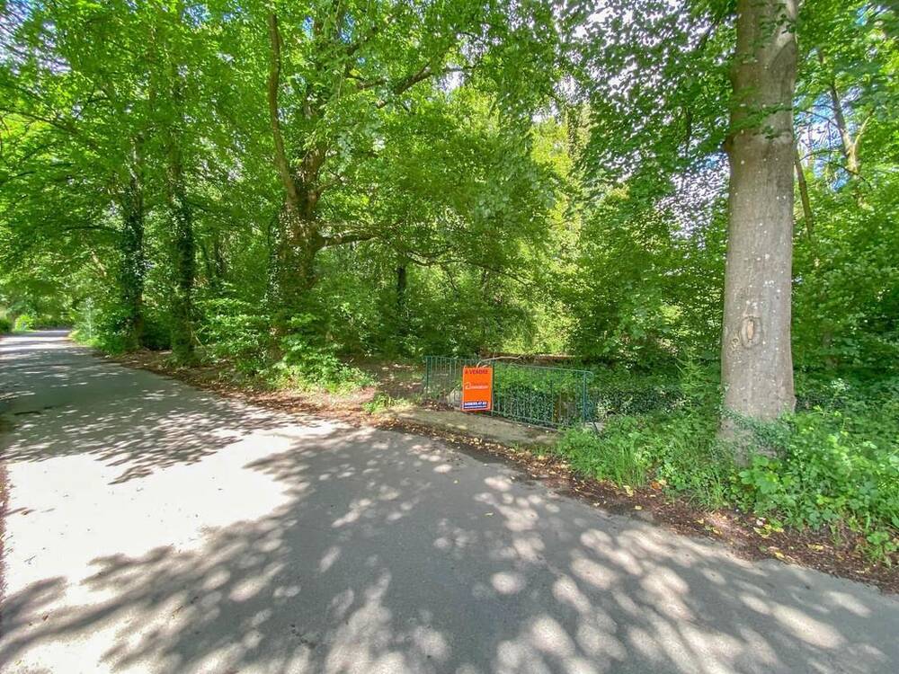 Terrain à vendre à Barbençon 6500 115000.00€ chambres m² - annonce 121611