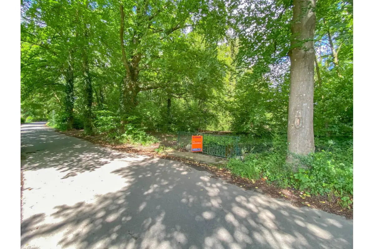 Terrain à vendre à Barbençon 6500 115000.00€  chambres m² - annonce 121611