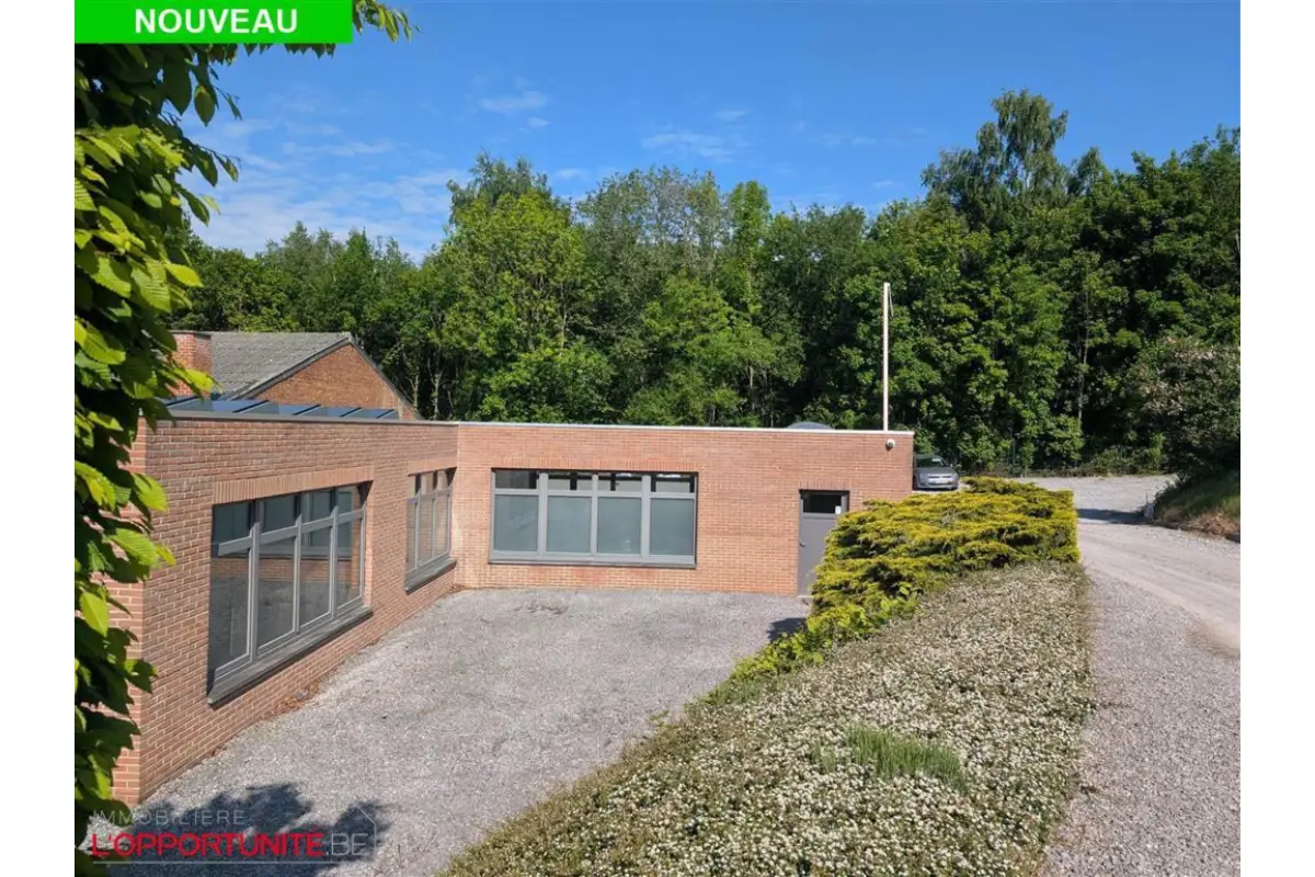 Commerce à louer à Morlanwelz-Mariemont 7140 990.00€  chambres m² - annonce 364727