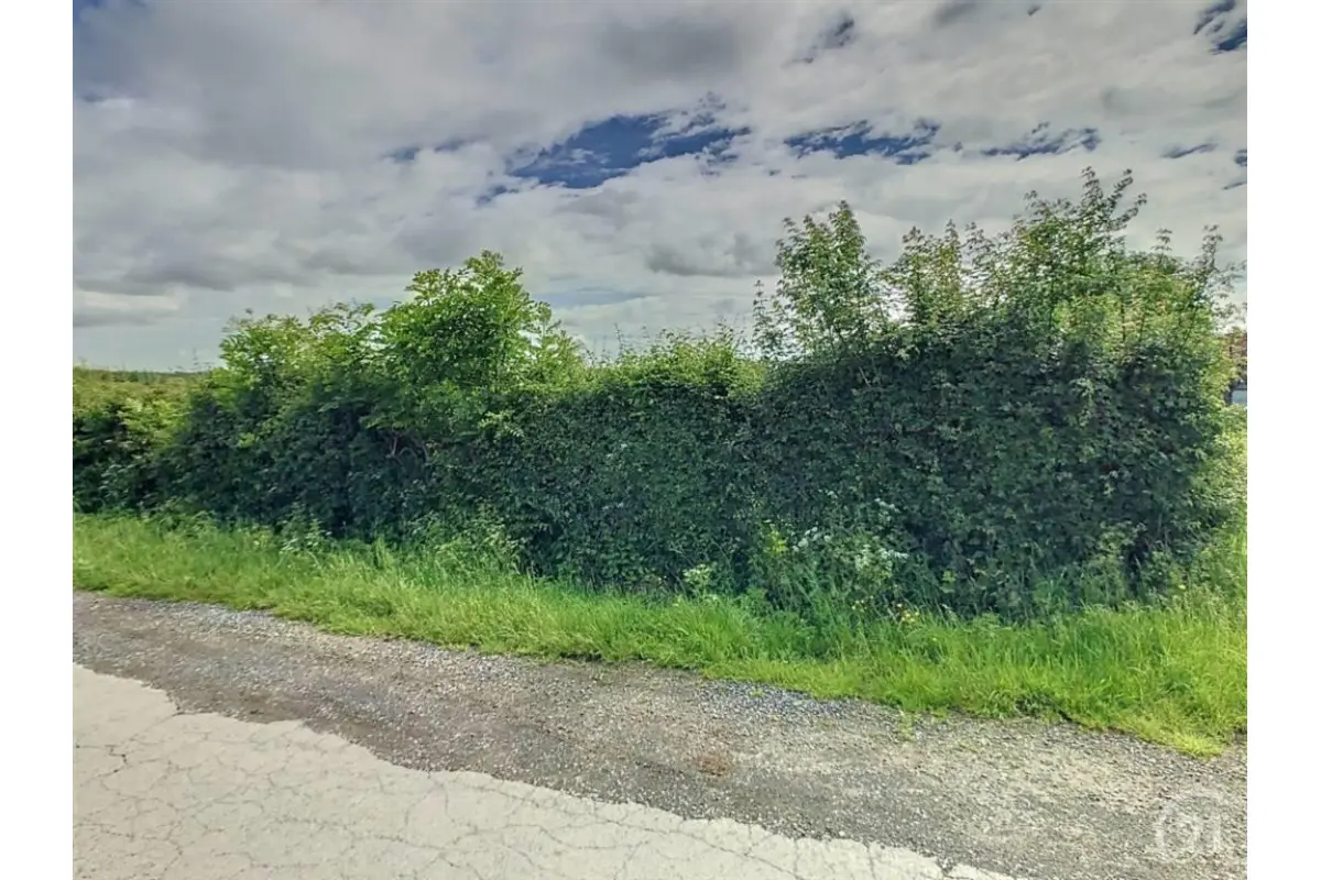 Terrain à bâtir à vendre à Macon 6591 25000.00€  chambres m² - annonce 249469