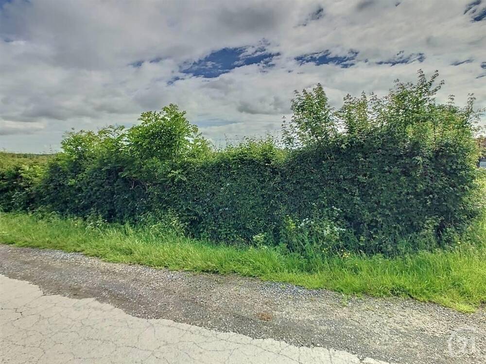 Terrain à vendre à Macon 6591 25000.00€ chambres m² - annonce 249469