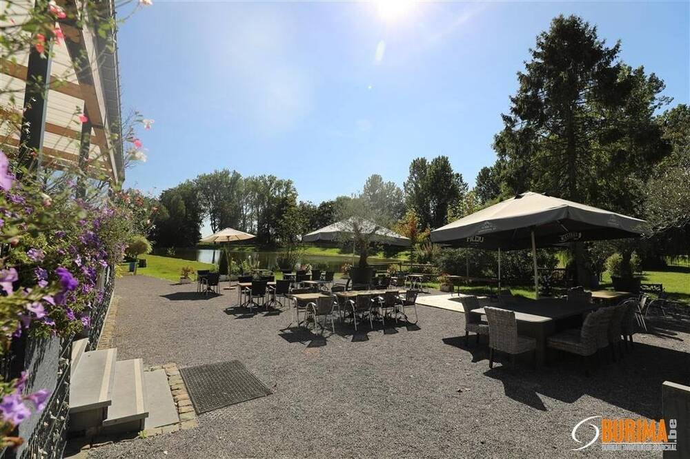 Terrain à vendre à Liberchies 6238 800000.00€ chambres m² - annonce 285420