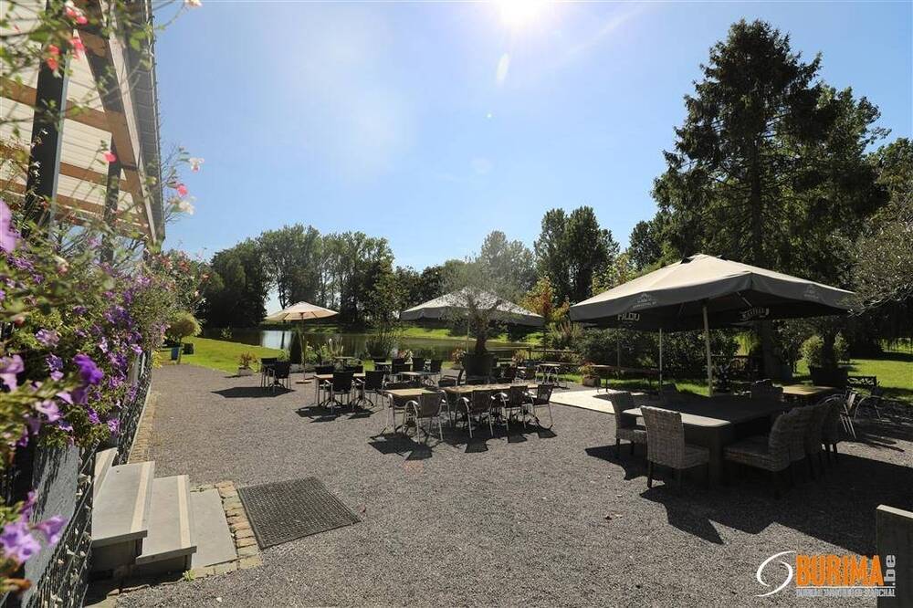 Commerce à vendre à Liberchies 6238 800000.00€ 1 chambres 452.00m² - annonce 285421