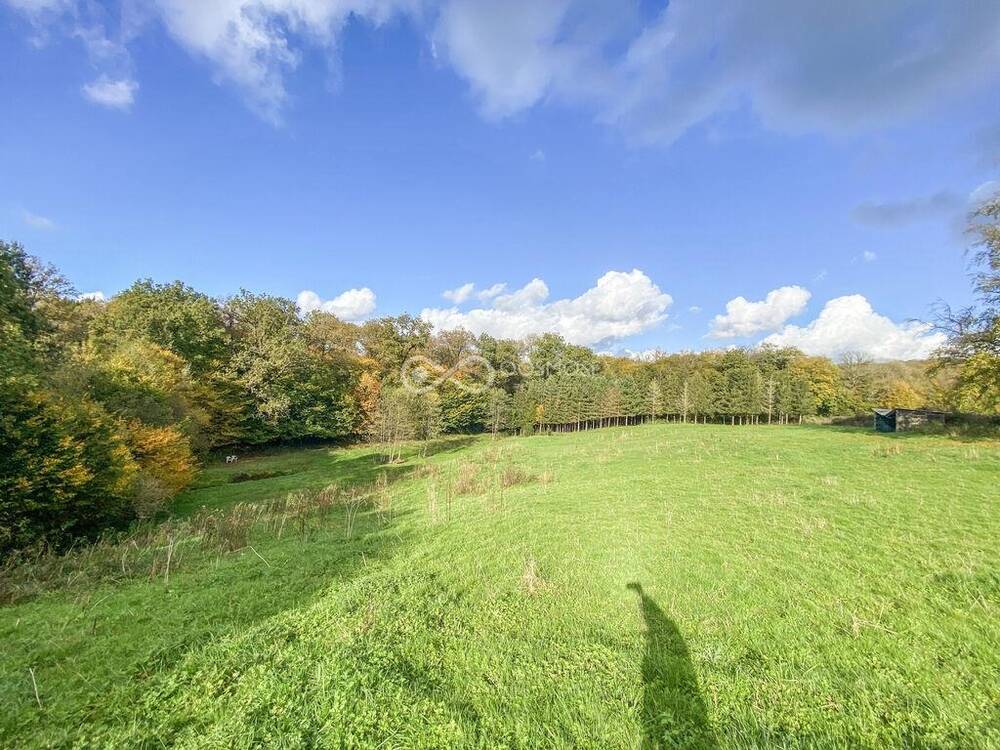 Terrain à vendre à Rance 6470 25000.00€ chambres m² - annonce 333239