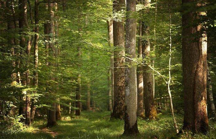 Terrain à vendre à Farciennes 6240 350000.00€ chambres m² - annonce 336292