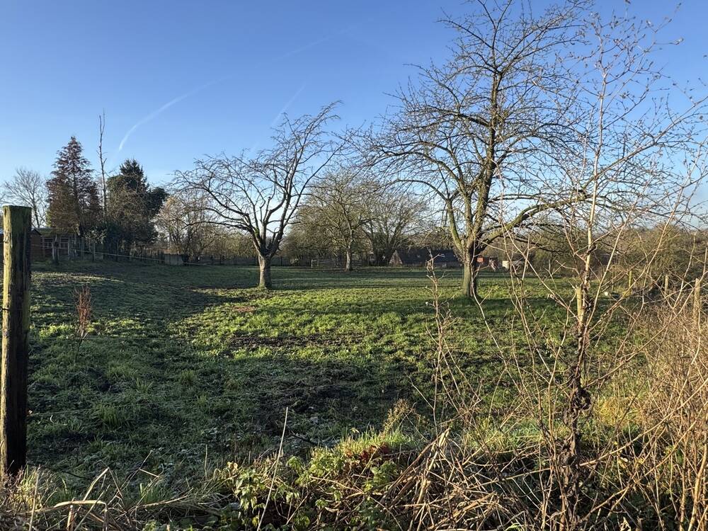 Terrain à vendre à Havré 7021 120000.00€ chambres m² - annonce 344971