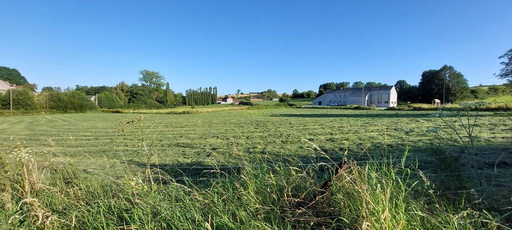 Terrain à vendre à Renlies 6500 80000.00€ chambres m² - annonce 350602