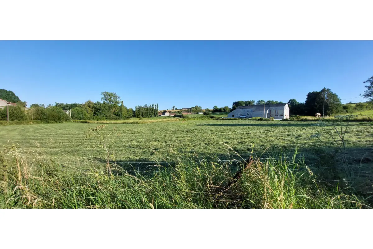 Terrain à vendre à Renlies 6500 60000.00€  chambres m² - annonce 350602