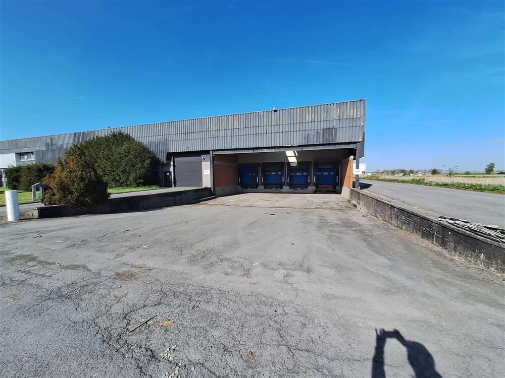 Commerce à louer à Warcoing 7740 6155.00€ chambres m² - annonce 358701