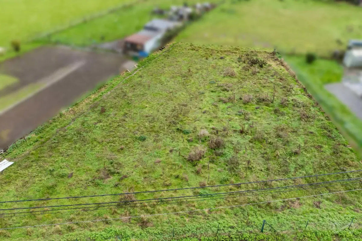 Terrain à vendre à Sars-la-Buissière 6542 95000.00€  chambres m² - annonce 382351