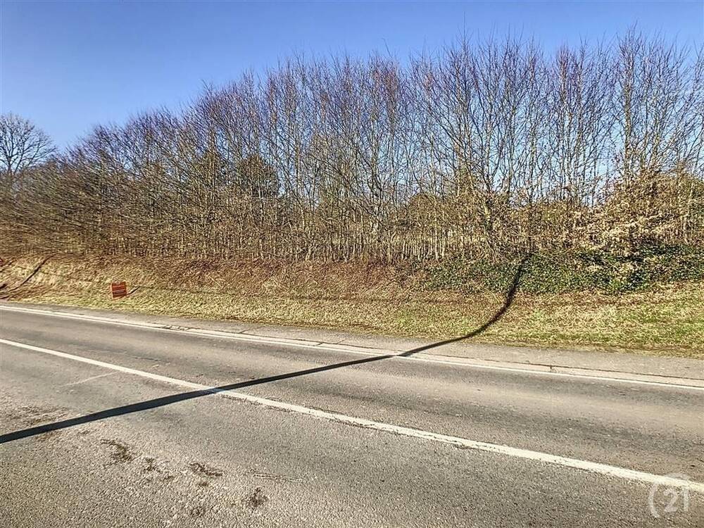 Terrain à vendre à Seloignes 6596 30000.00€ chambres m² - annonce 394431
