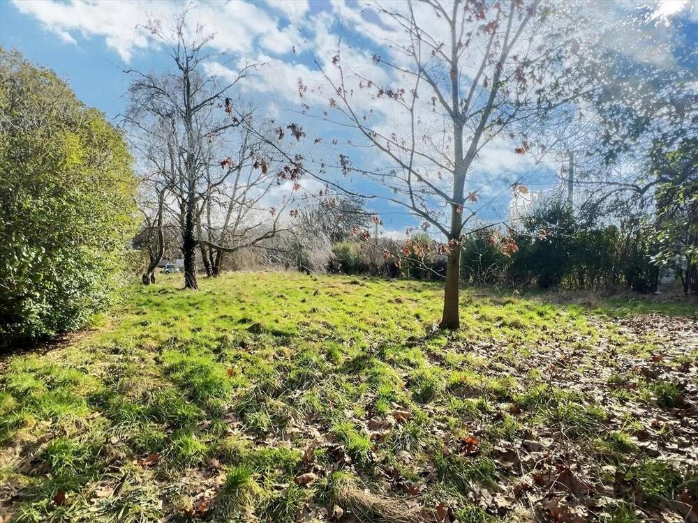 Terrain à vendre à Couillet 6010 115000.00€ chambres m² - annonce 397380