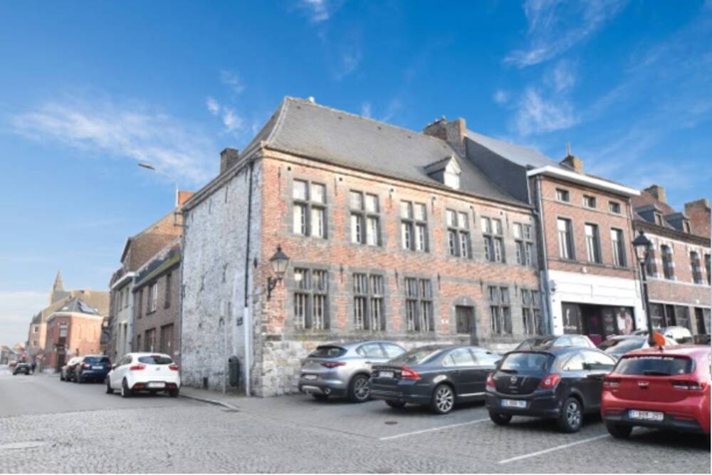 Commerce à vendre à Le Roeulx 7070 250000.00€ chambres 266.00m² - annonce 402596