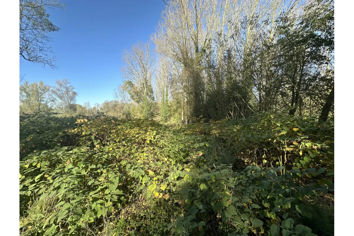 Terrain à vendre à Ogy 7862 100000.00€  chambres m² - annonce 404977