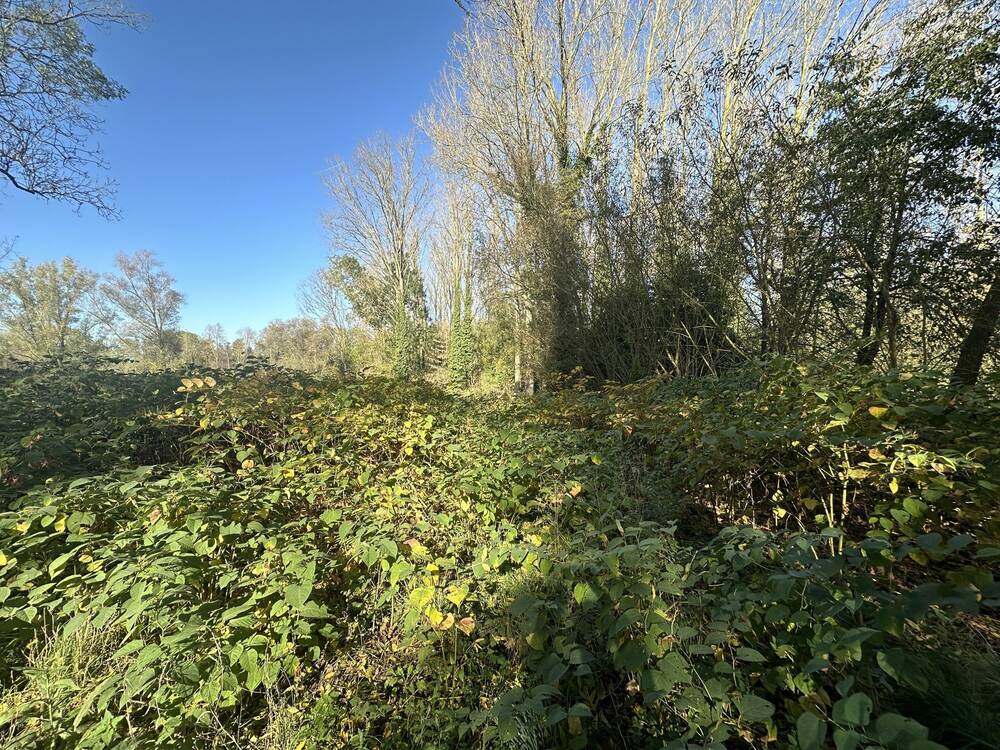 Terrain à vendre à Ogy 7862 100000.00€ chambres m² - annonce 404977