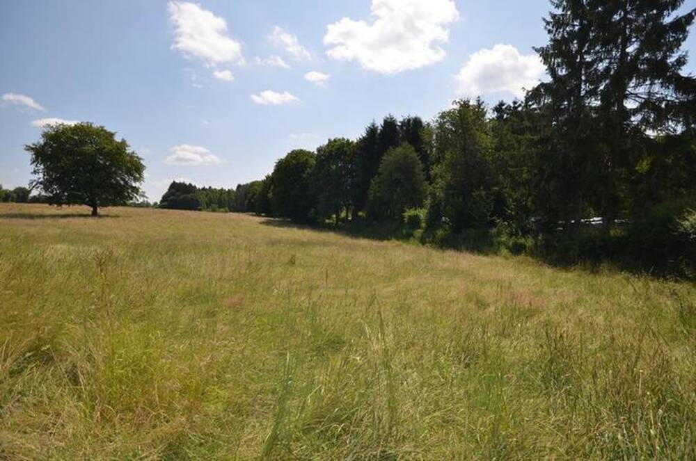 Terrain à vendre à Seloignes 6596 45000.00€ chambres m² - annonce 406491
