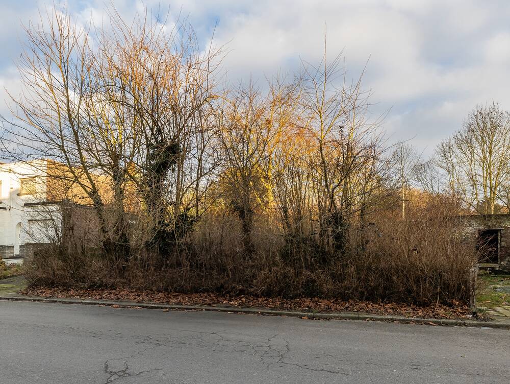 Terrain à vendre à Roux 6044 40000.00€ chambres m² - annonce 408019