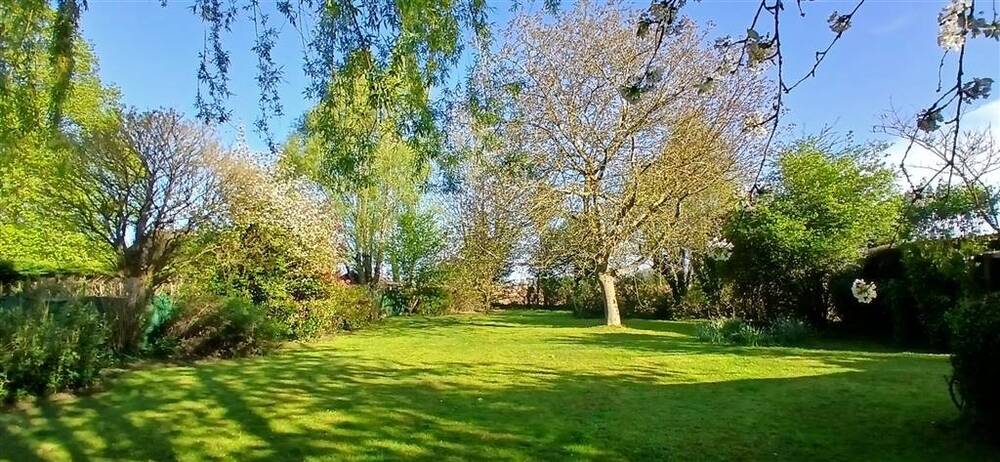 Maison à vendre à Néchin 7730 299000.00€ 3 chambres 135.00m² - annonce 410197