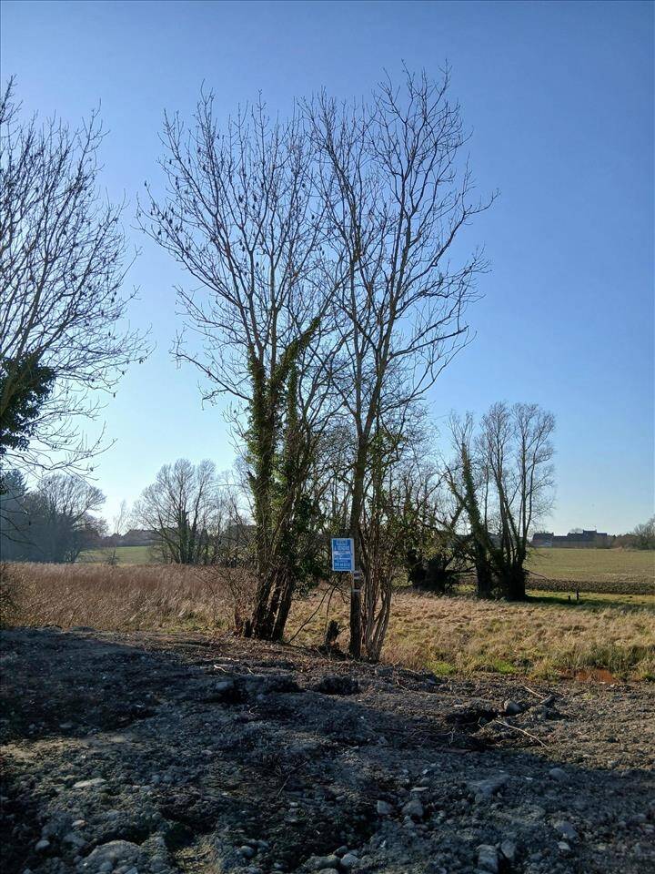 Terrain à vendre à Aulnois 7040 50000.00€ chambres m² - annonce 414490