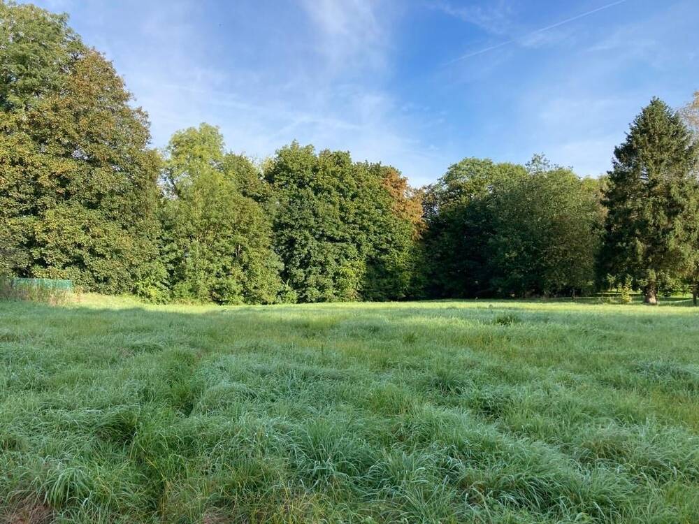 Terrain à vendre à Virelles 6461 77500.00€ chambres m² - annonce 416839