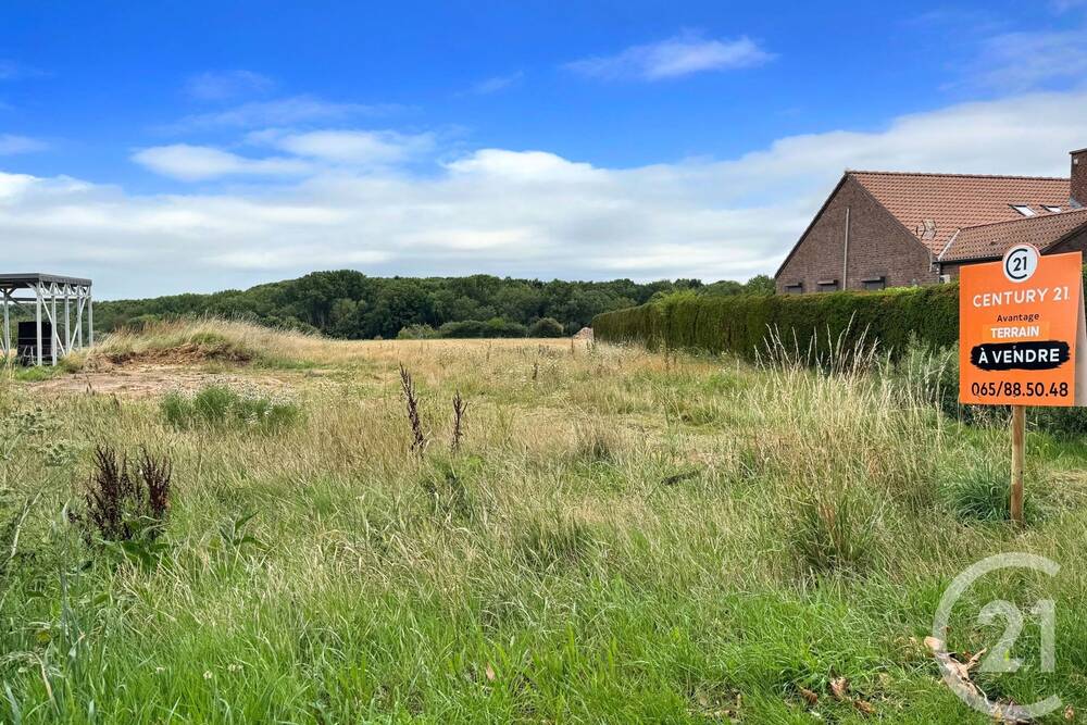Terrain à vendre à Dour 7370 95000.00€  chambres m² - annonce 424038