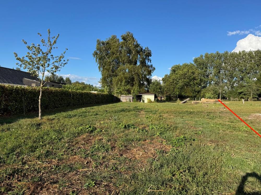 Terrain à vendre à Ogy 7862 125000.00€  chambres m² - annonce 431020