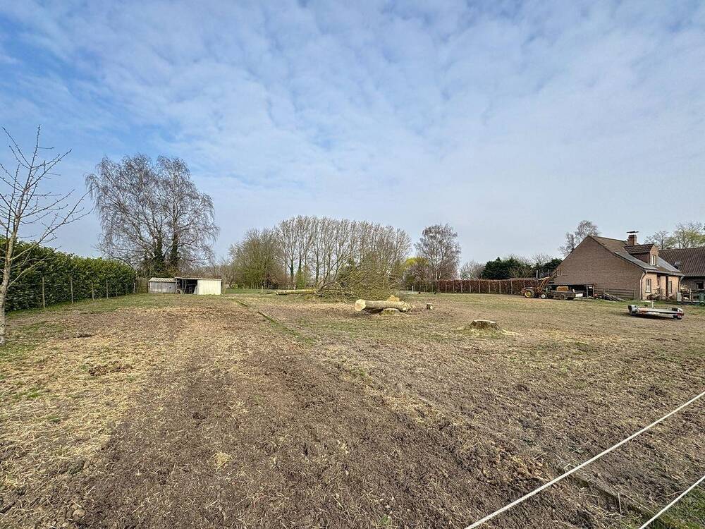 Terrain à vendre à Ogy 7862 135000.00€ chambres m² - annonce 431020