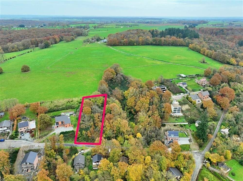 Terrain à vendre à Leval-Chaudeville 6500 49000.00€ chambres m² - annonce 433949