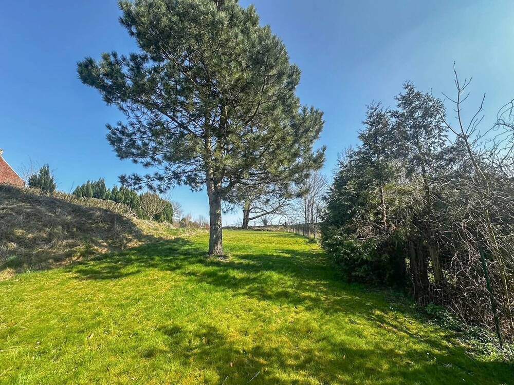 Terrain à vendre à Buzet 6230 69000.00€ chambres m² - annonce 434875