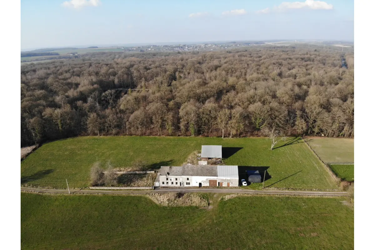 Bungalow à vendre à Boussu-lez-Walcourt 6440 385000.00€  chambres m² - annonce 437330