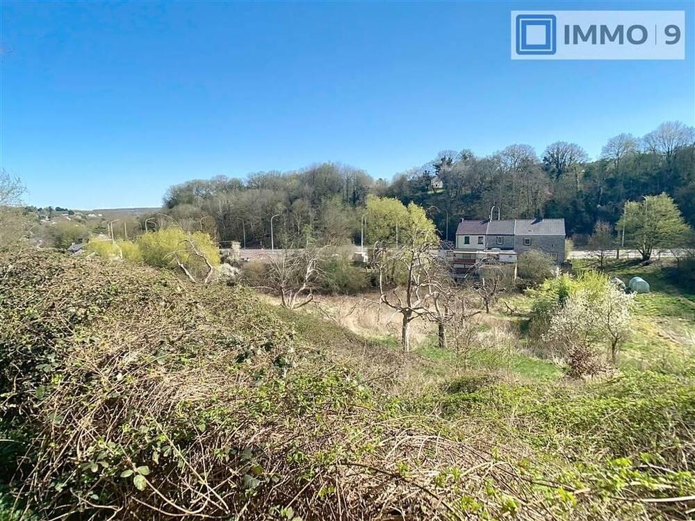 Terrain à vendre à Presles 6250 95000.00€ chambres m² - annonce 442596