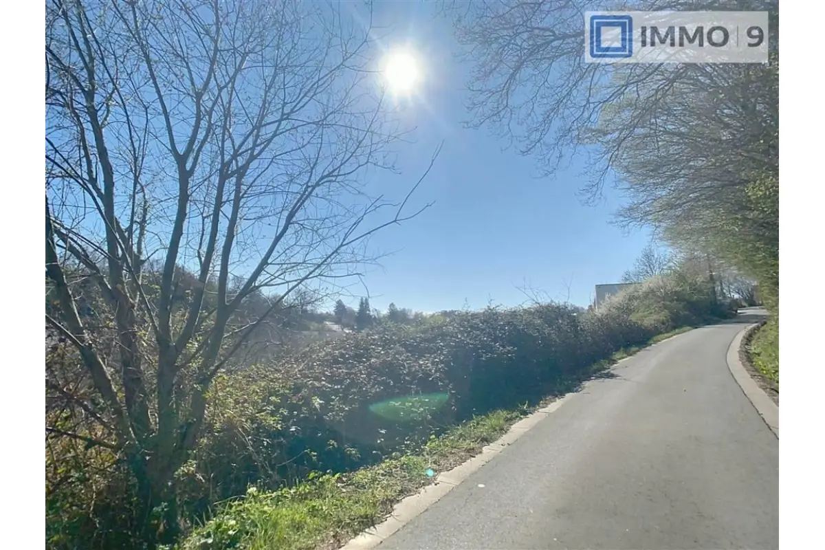 Terrain à vendre à Presles 6250 65000.00€  chambres m² - annonce 442595