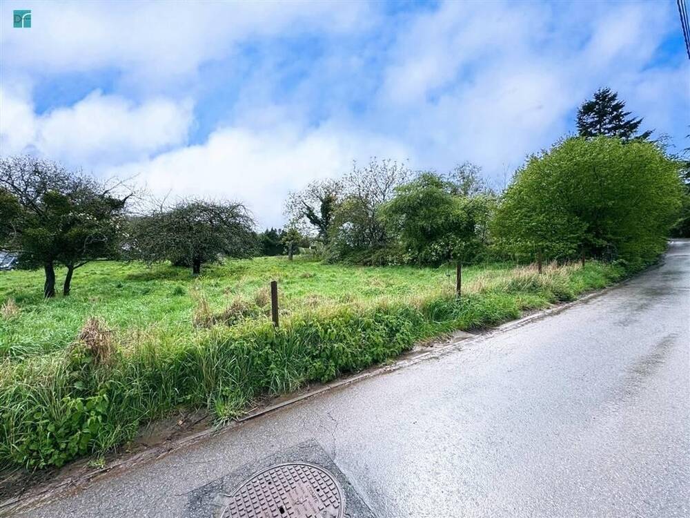 Terrain à vendre à Landelies 6111 400000.00€ chambres m² - annonce 445120