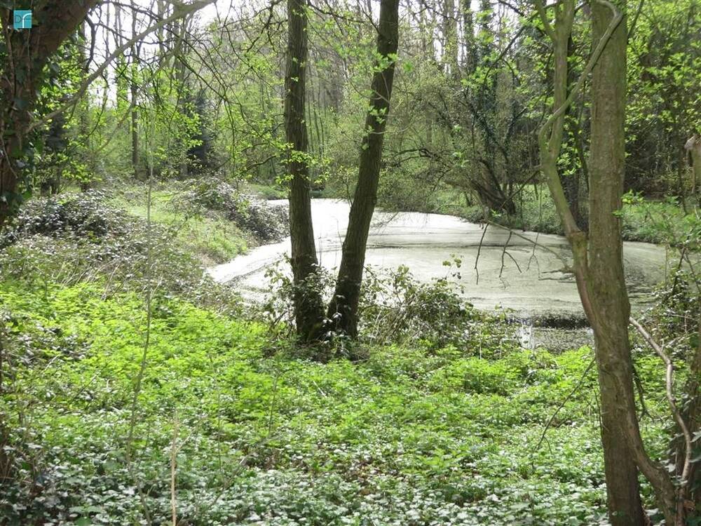 Terrain à vendre à Heppignies 6220 28000.00€  chambres m² - annonce 445525