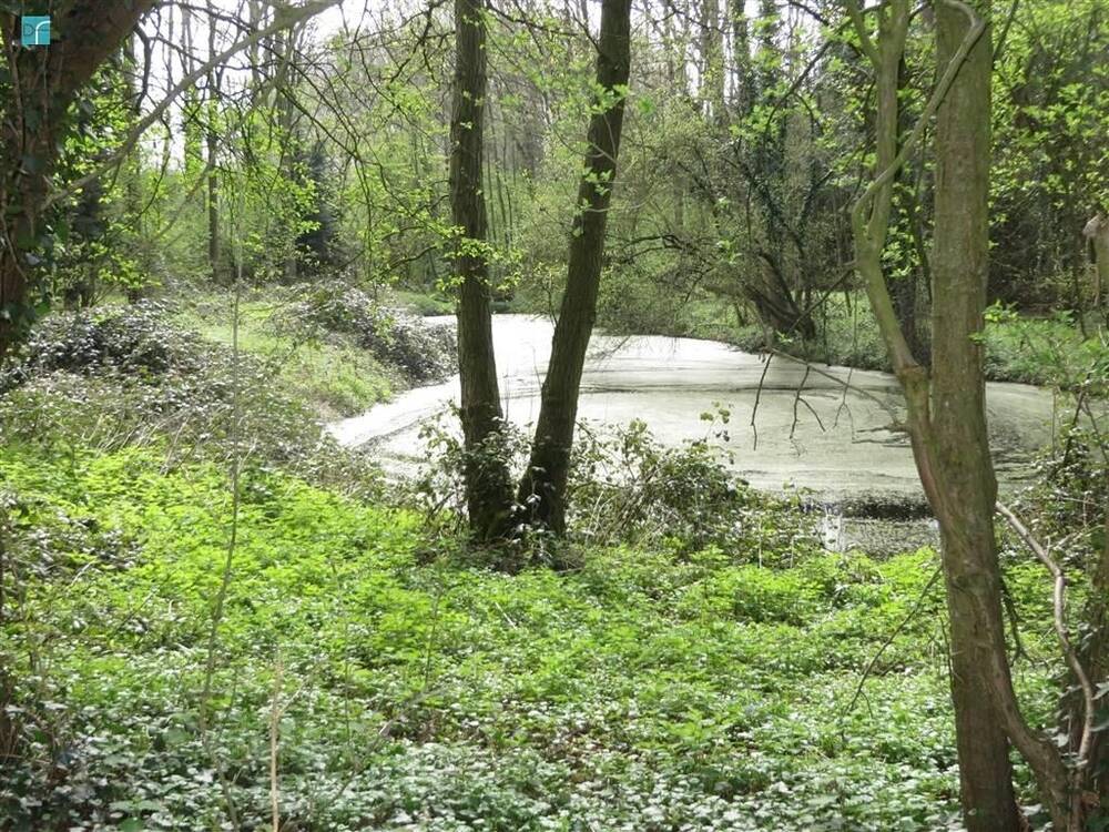 Terrain à vendre à Heppignies 6220 28000.00€ chambres m² - annonce 445525