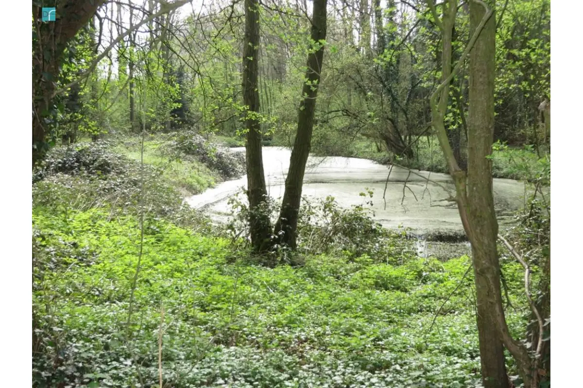 Terrain à vendre à Heppignies 6220 28000.00€  chambres m² - annonce 445525